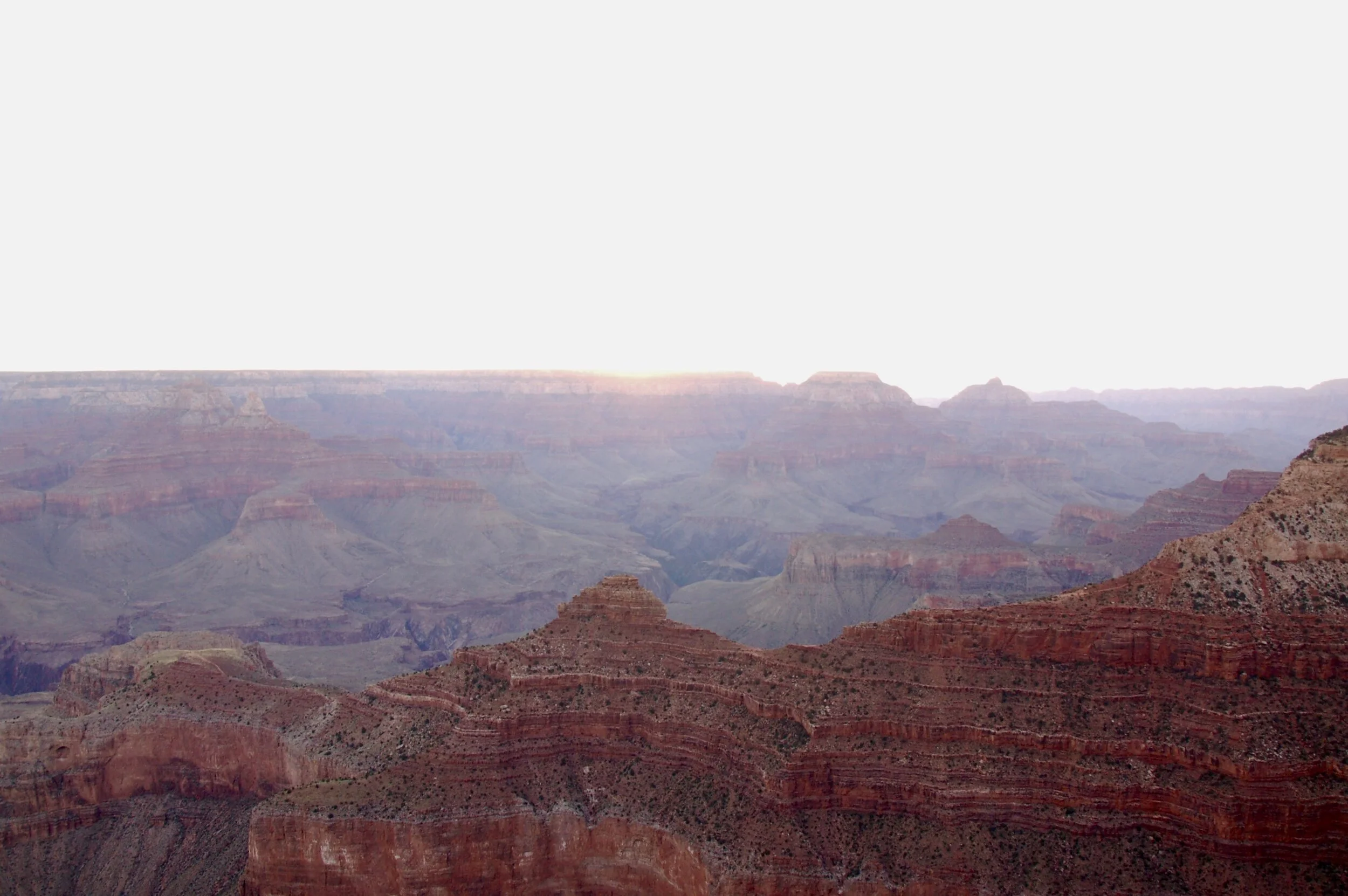 31200801-22C8-40B1-8D3A-C6B663BD1DF6_1_201_a.jpeg
