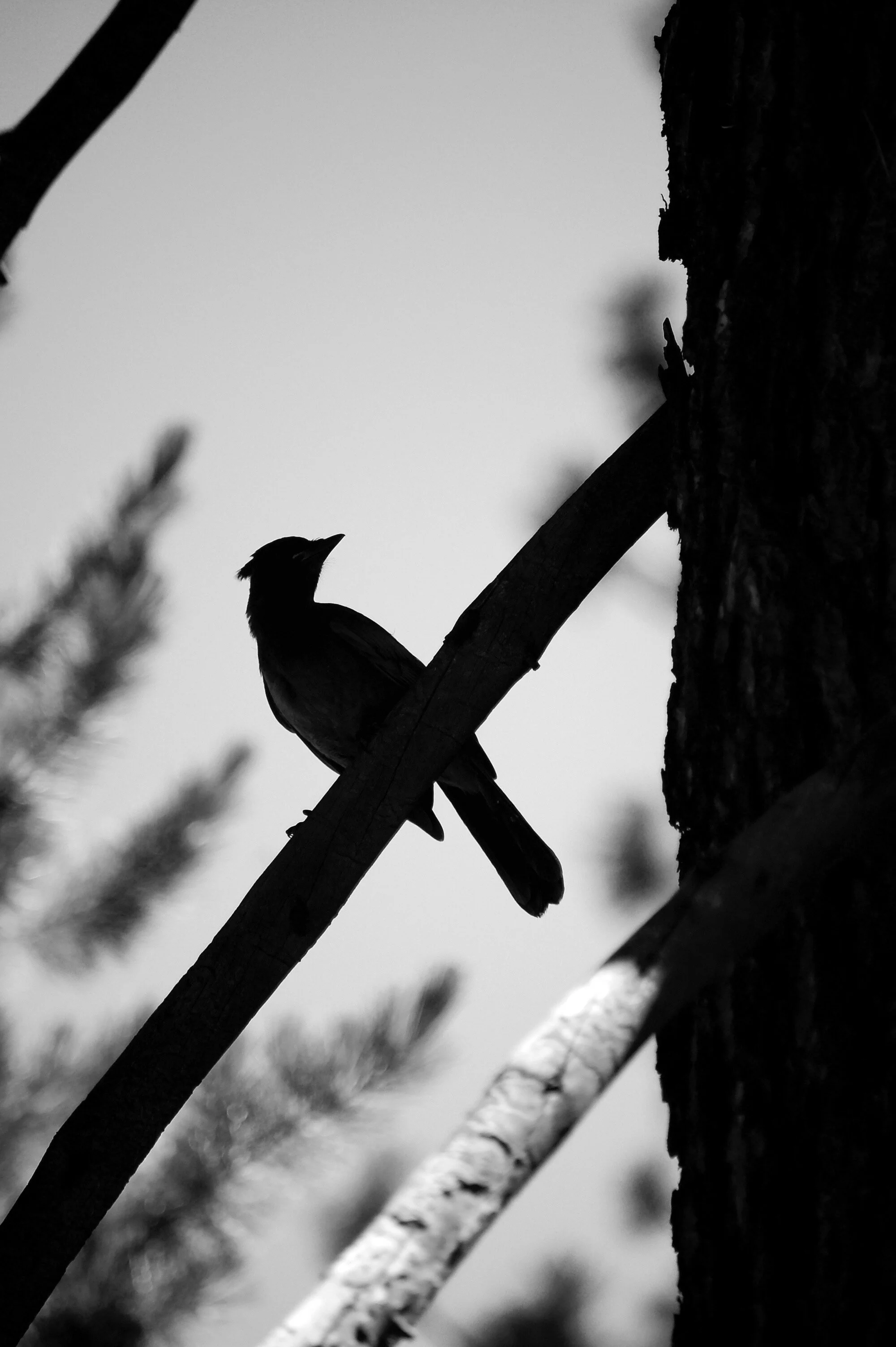 144673CB-A8CF-4C21-8AF2-26867241AE7A.jpeg