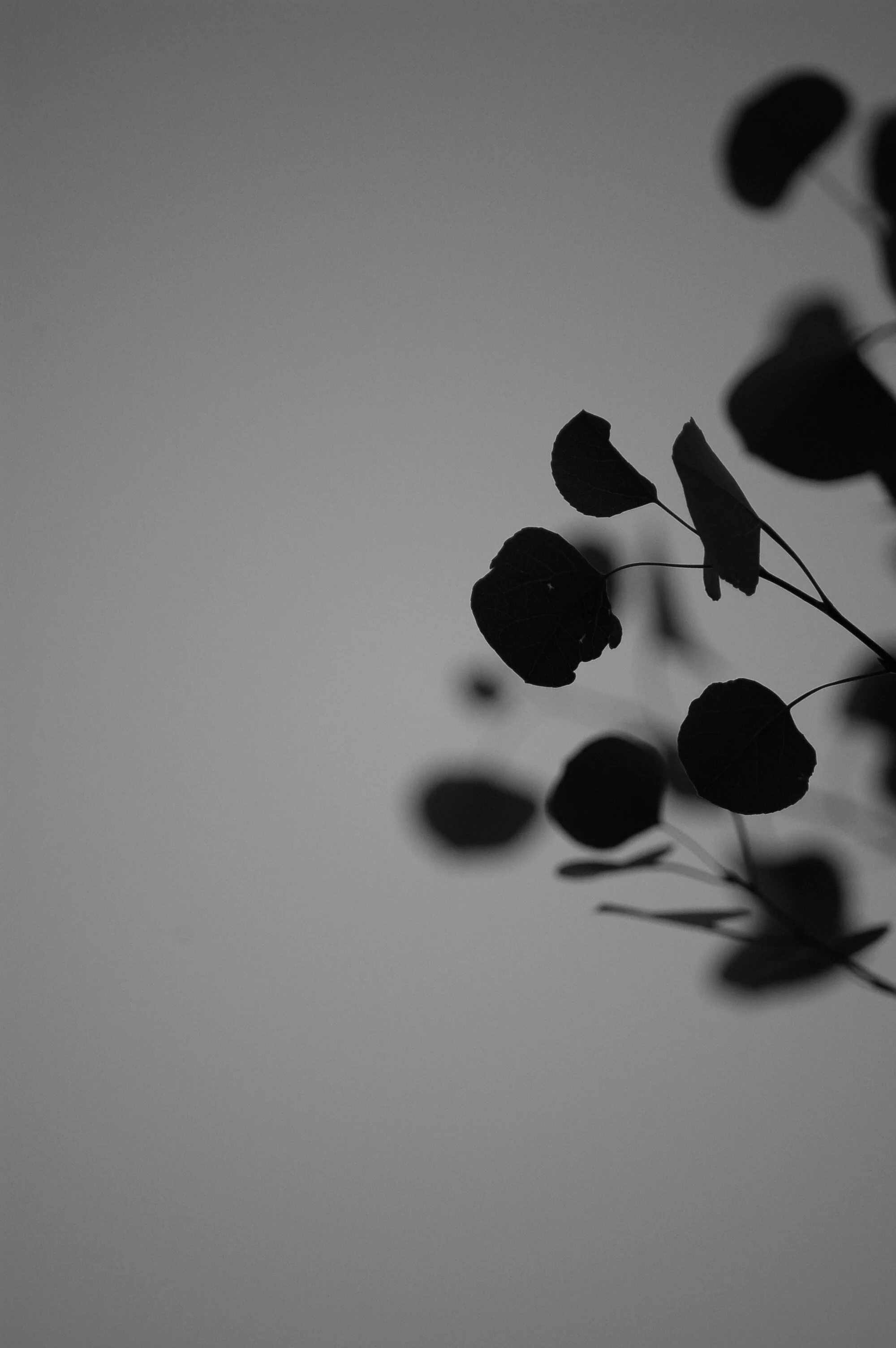 3C165B30-4F44-4EB2-B2A2-7A68307003F8.jpeg