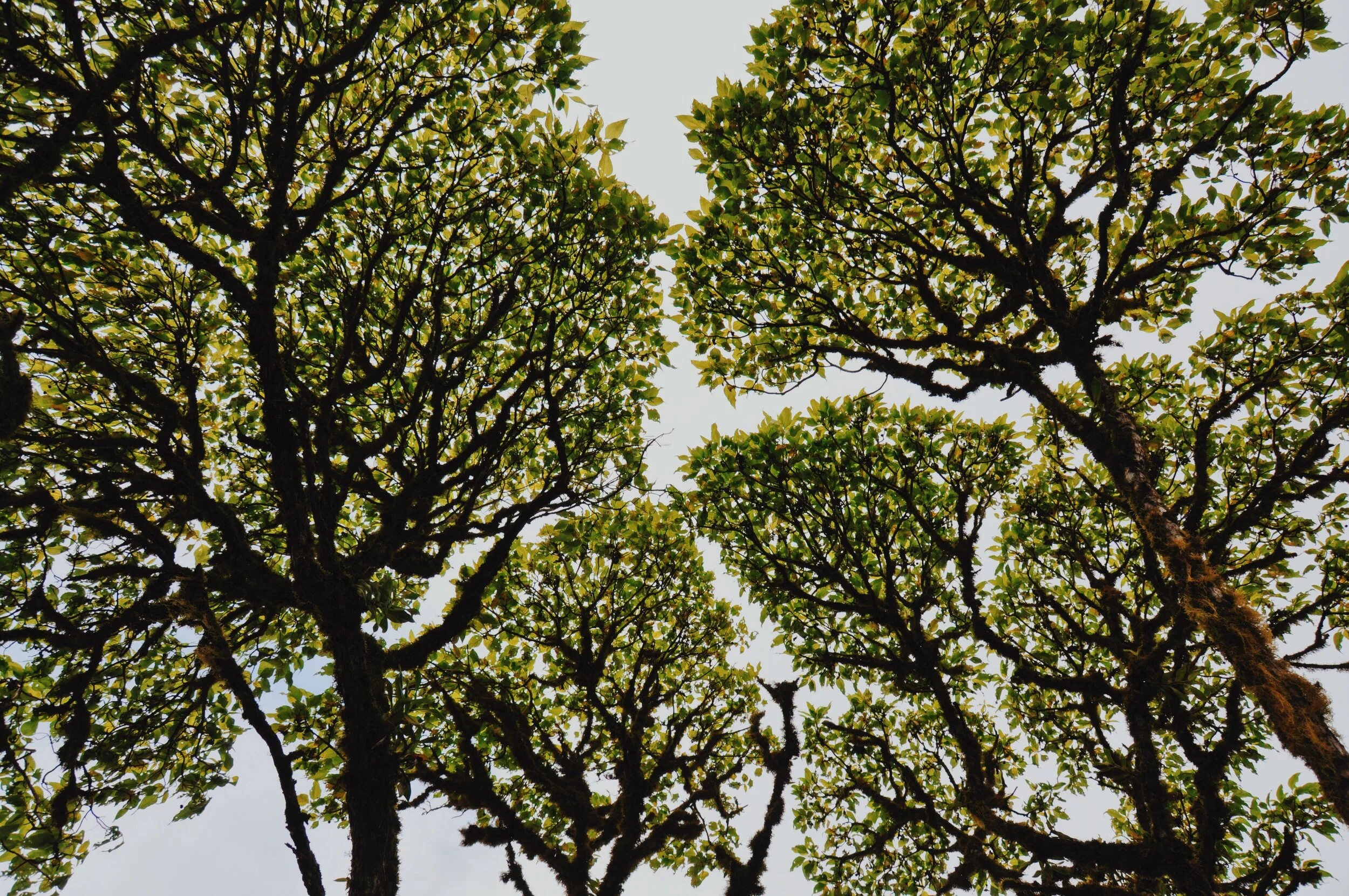 1E240F06-D6EA-4A6D-BD3C-04682ADA1532.jpeg
