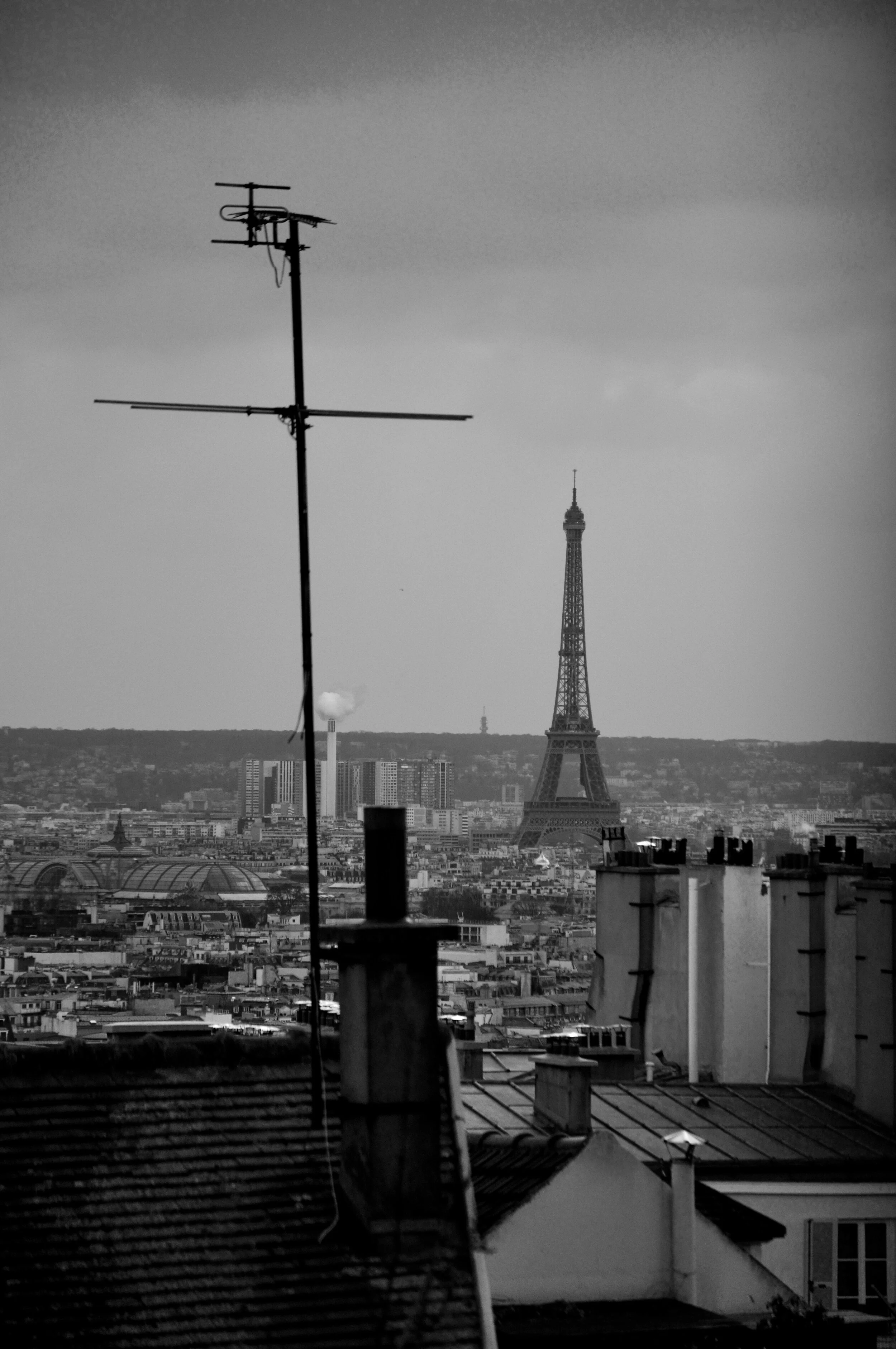 17A20C01-F7C0-4571-8B95-406C8823FD8E.jpeg