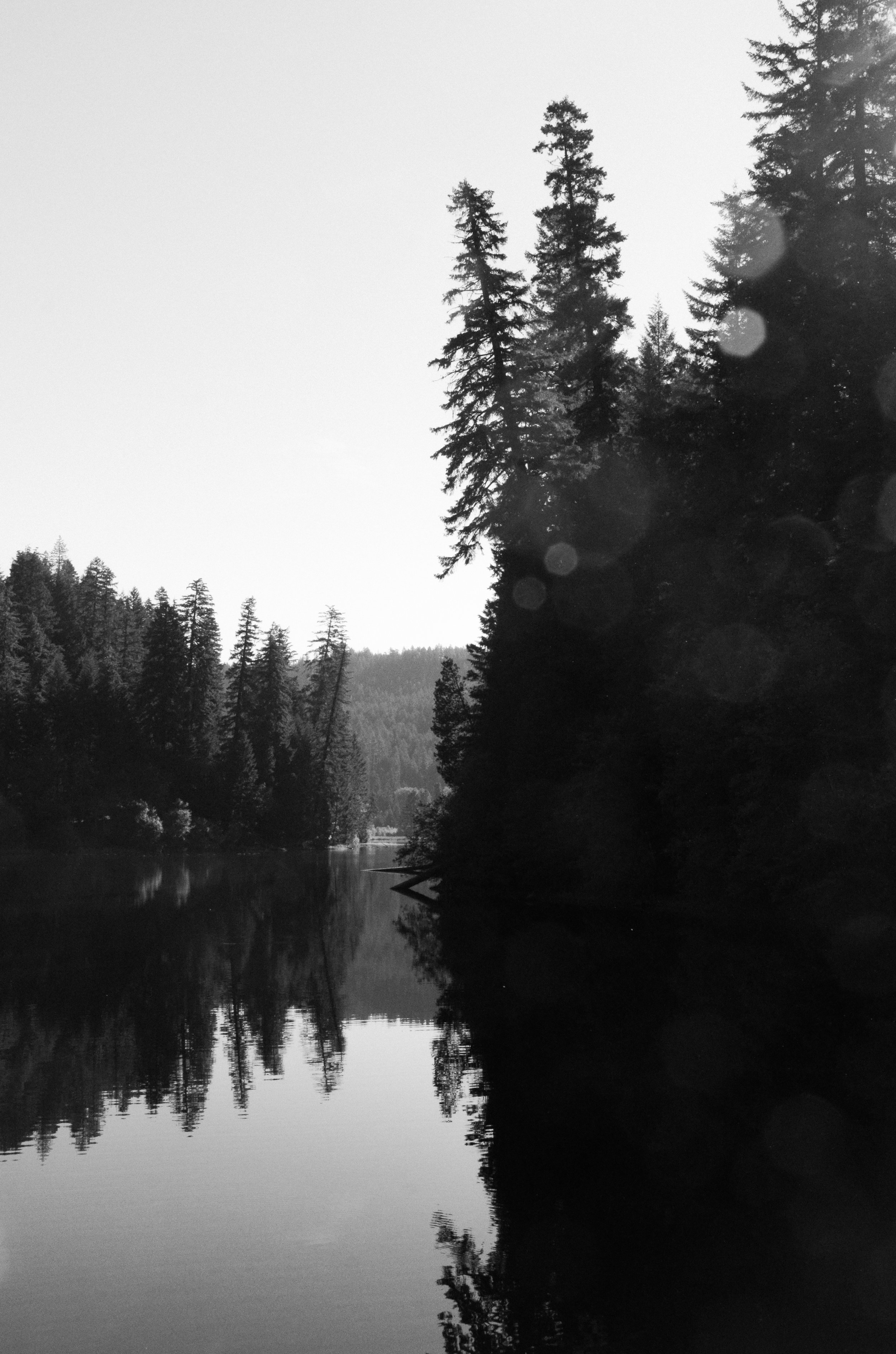 DSC_4908.jpg