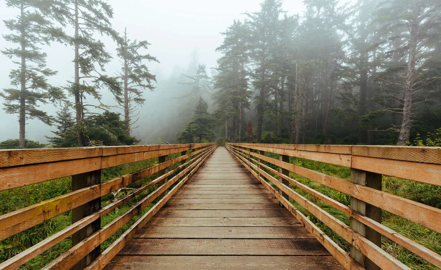 banners_footbridge.jpg