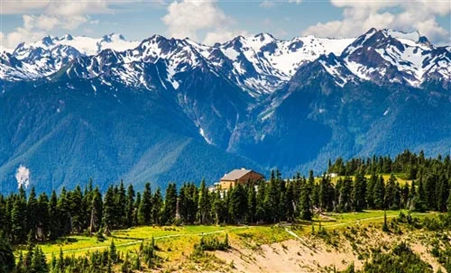 parks_hurricane_ridge_visitor_center.jpg
