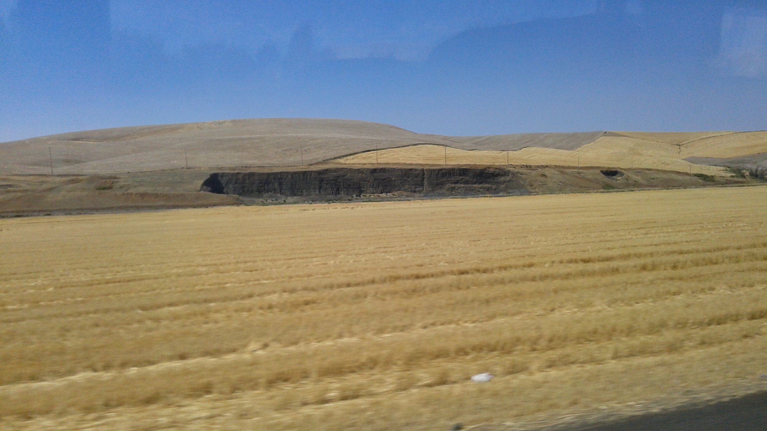 wheat fieldcliff in distance.jpg