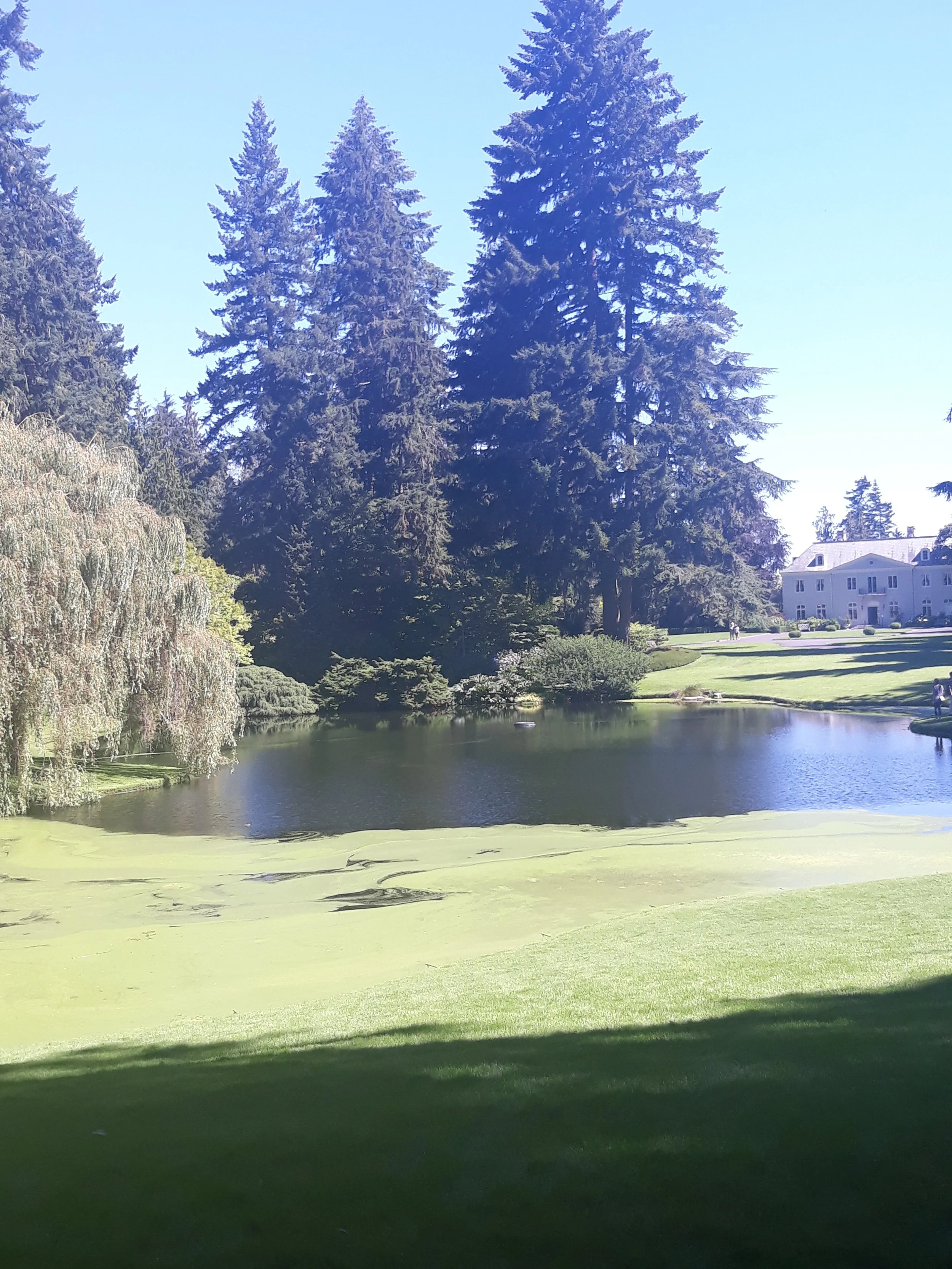 Island Lake