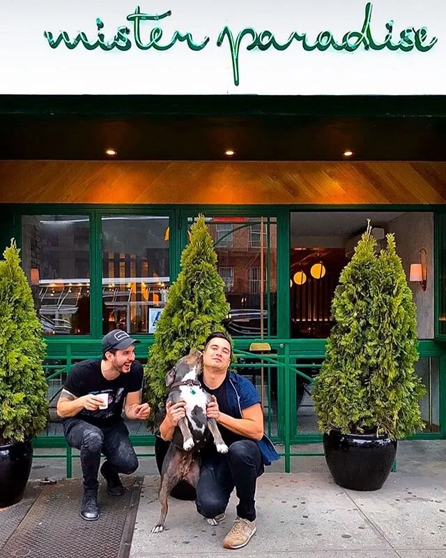 “and now for something completely different.”