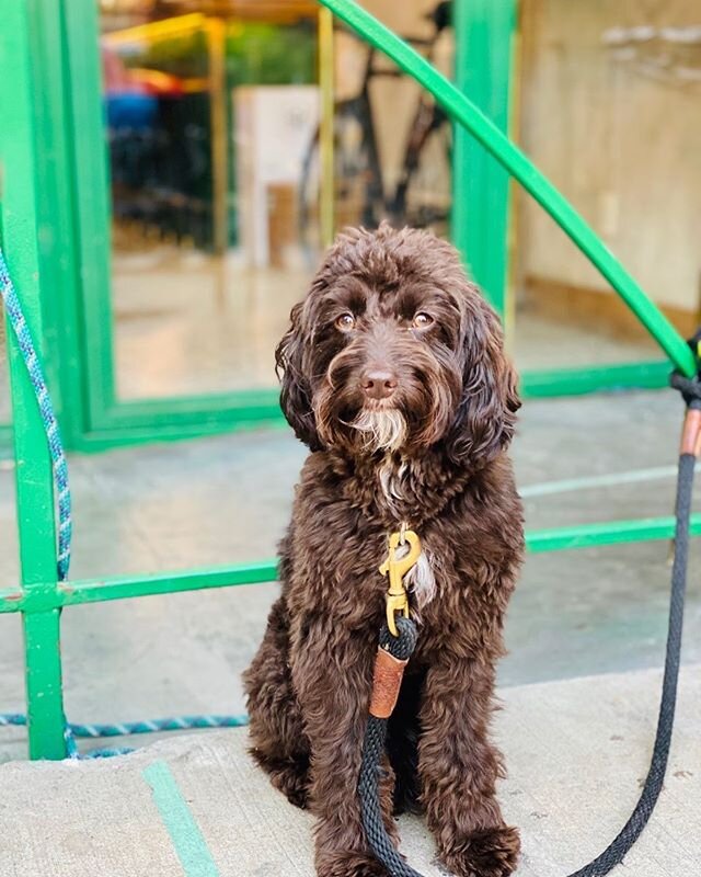 we are serving drinks to go until 8pm! go get em!