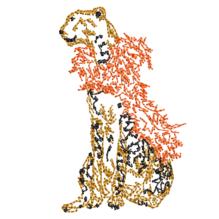 4. Cheetah (Boa)