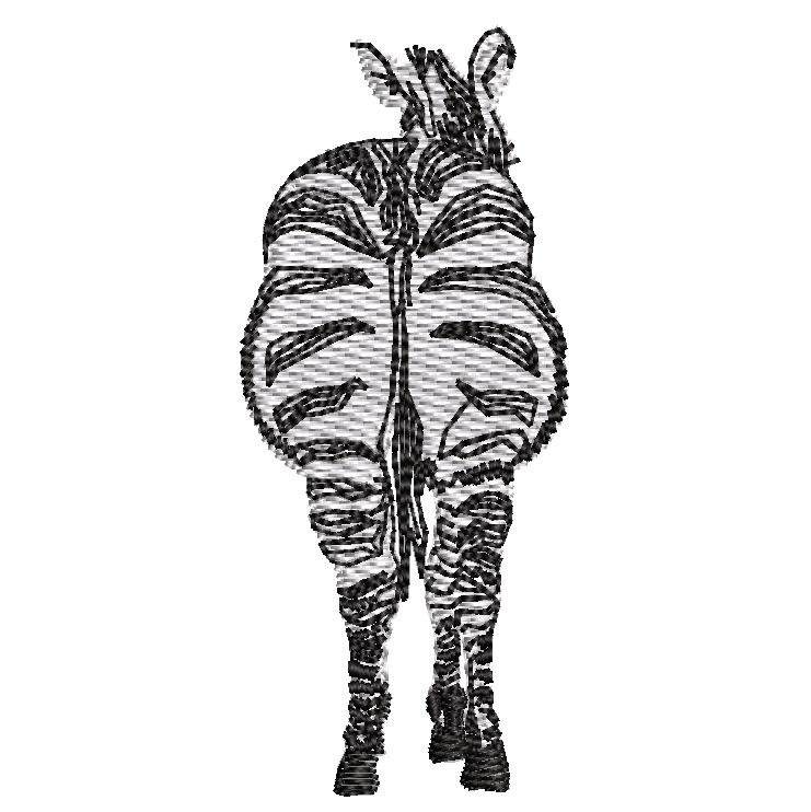 19. Zebra Behind
