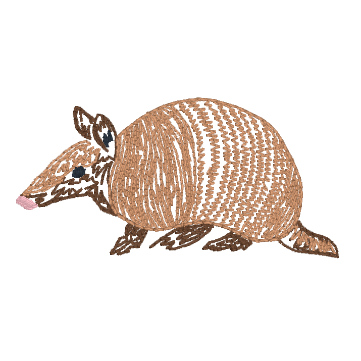 27. Armadillo