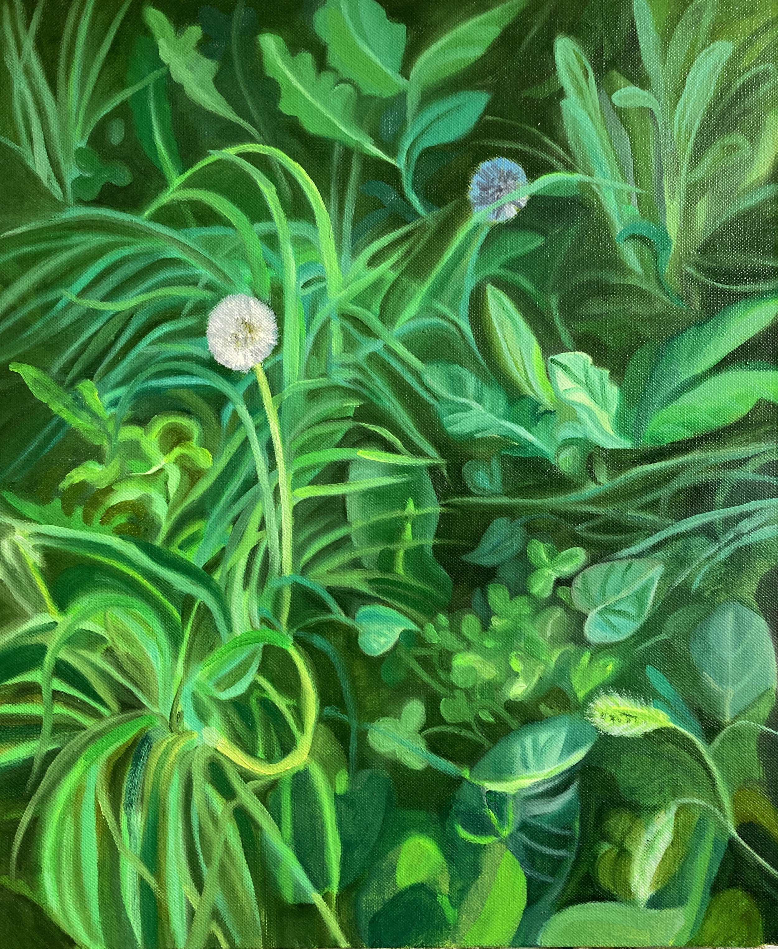  Emily Church  Fort Hamilton Parkway Weeds  2022  oil on linen  24h x 20w in 