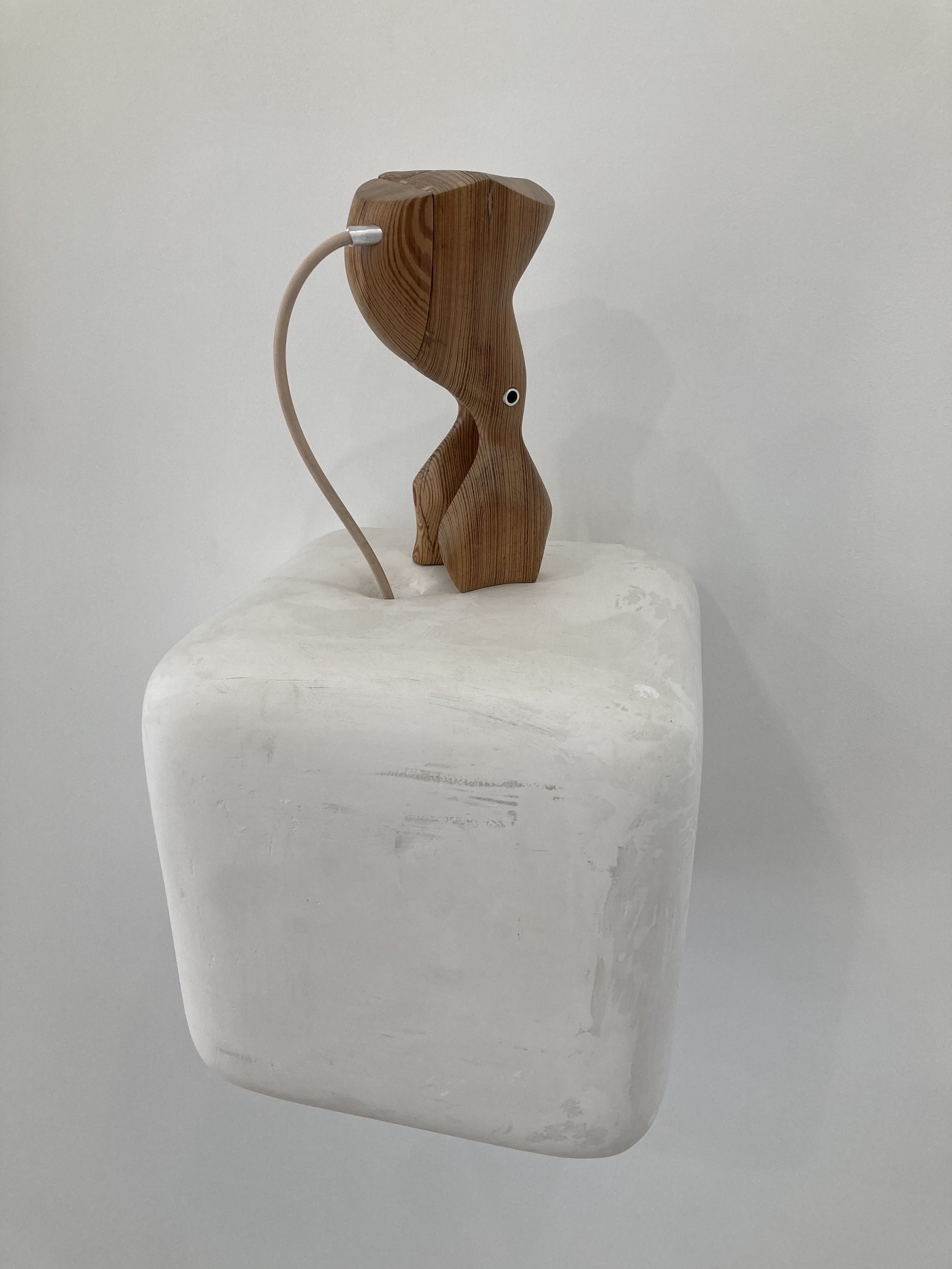  Sarah Anderson  Tongue ↔ Groove  2022  walnut, oak, aluminum, rubber cord, medical coolers, plaster  21h x 11w x 11d in 