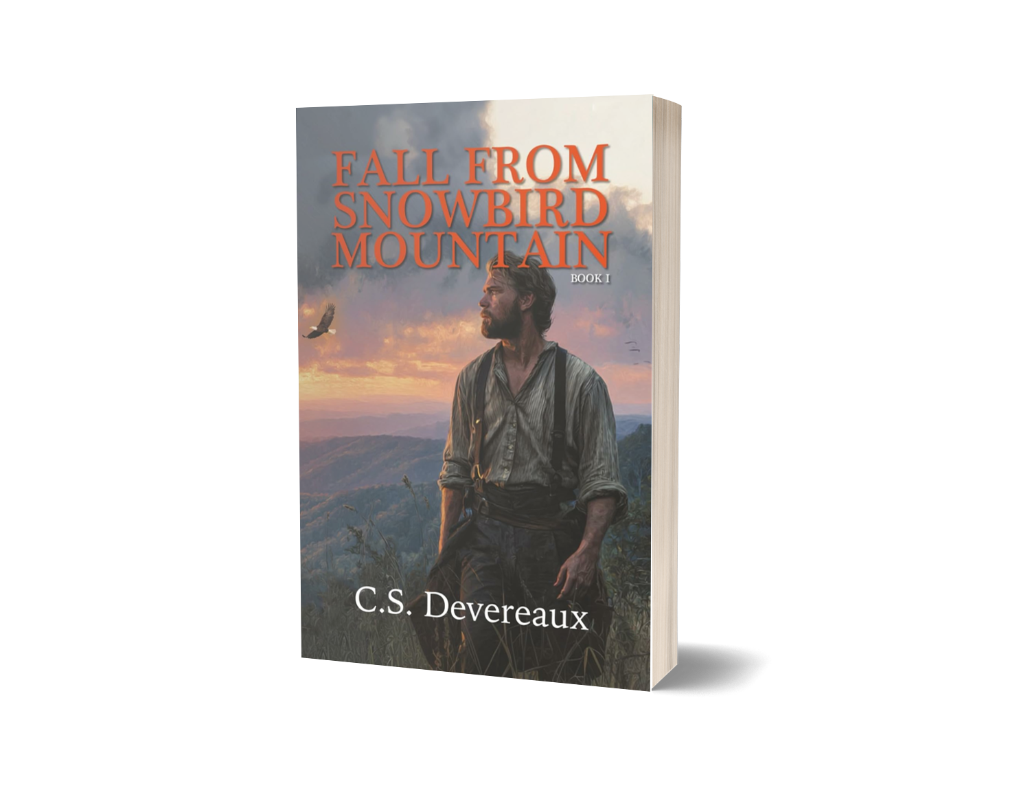 Fall From Snowbird Mountain                                                             
