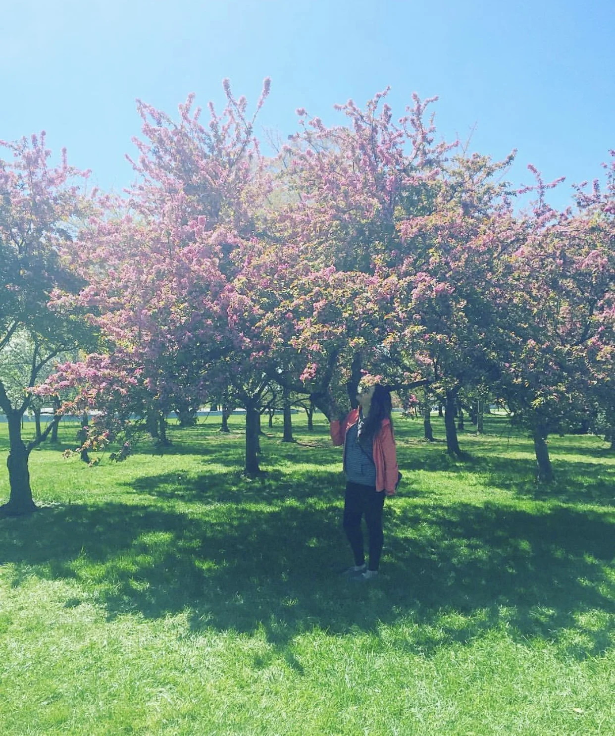 Why I Am Counting Down The Days Till Spring!