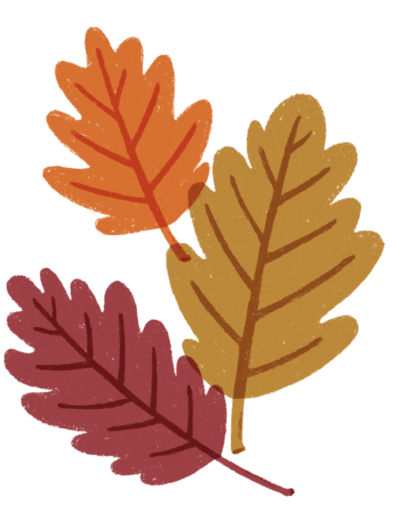 How to Feel Your Best This Fall