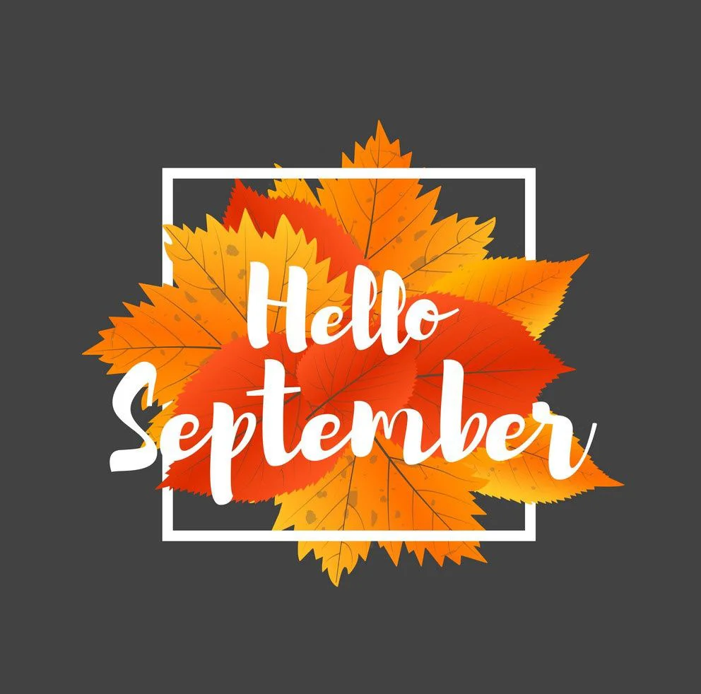 September 2024 Newsletter 