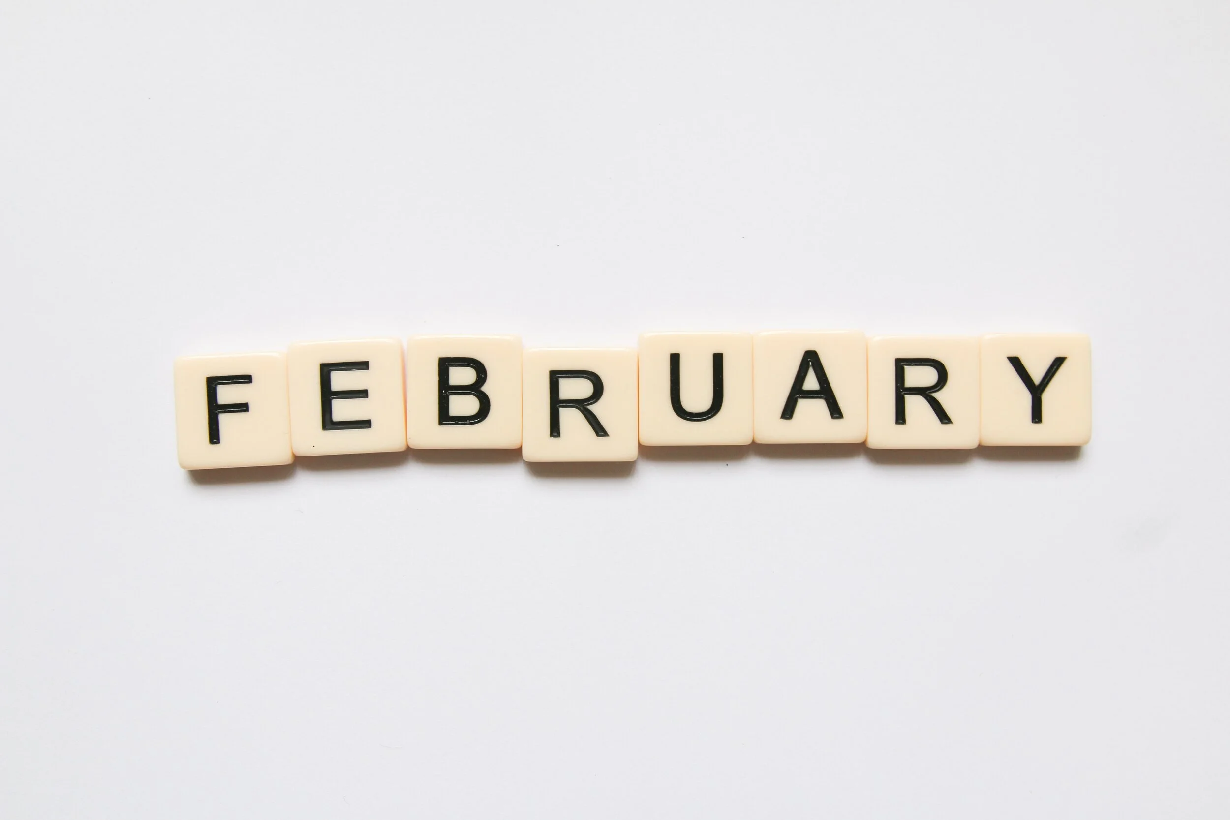 February 2025 Newsletter 