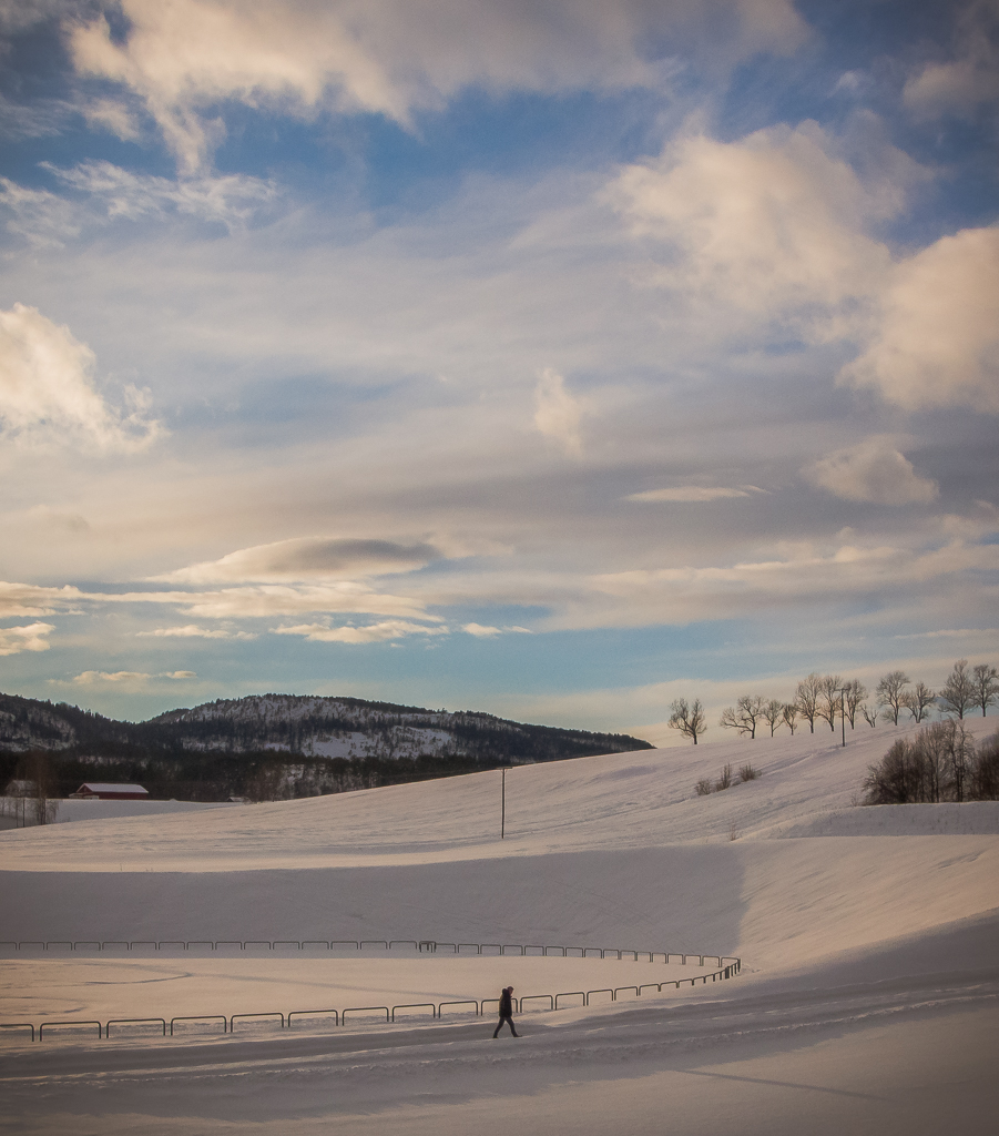 University of Southeastern Norway, Bø campus, Bø i Telemark, Norway