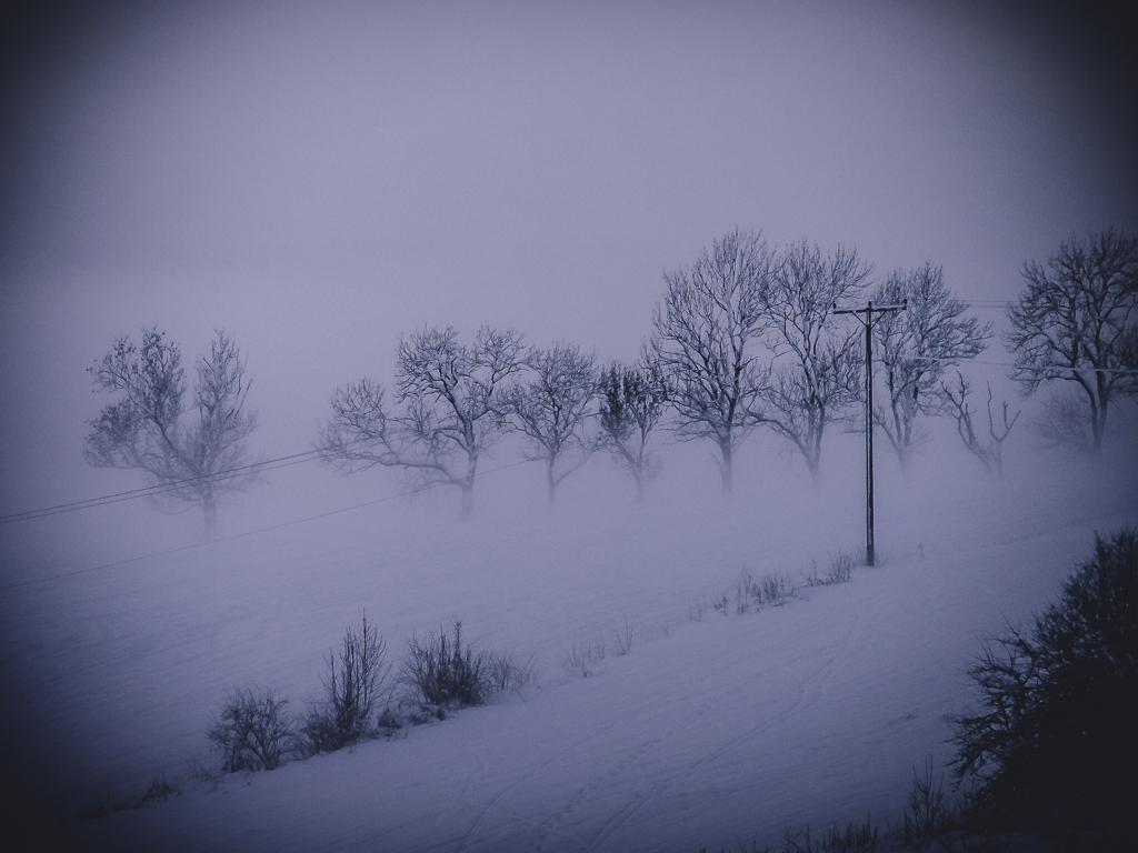 Bo_winter-29.jpg