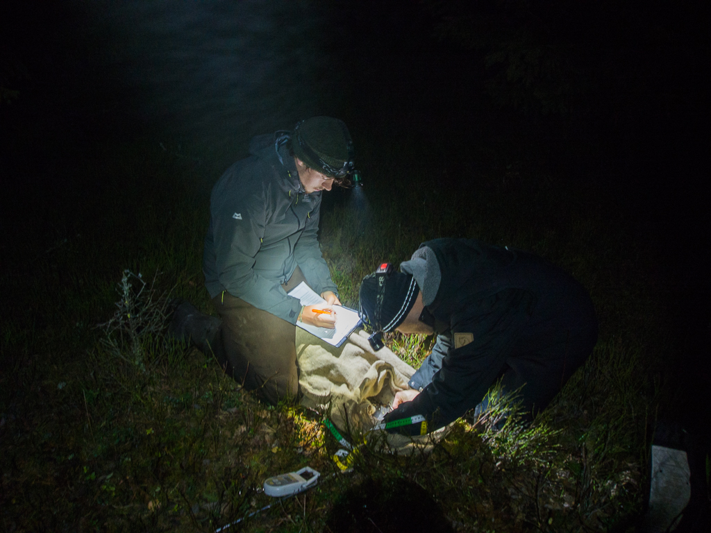 Beaver_trapping-16.jpg