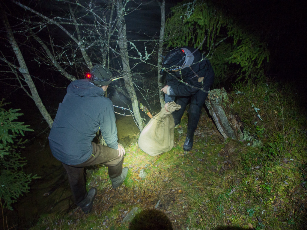 Beaver_trapping-22.jpg