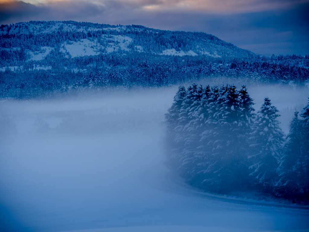 Bo_winter-4.jpg