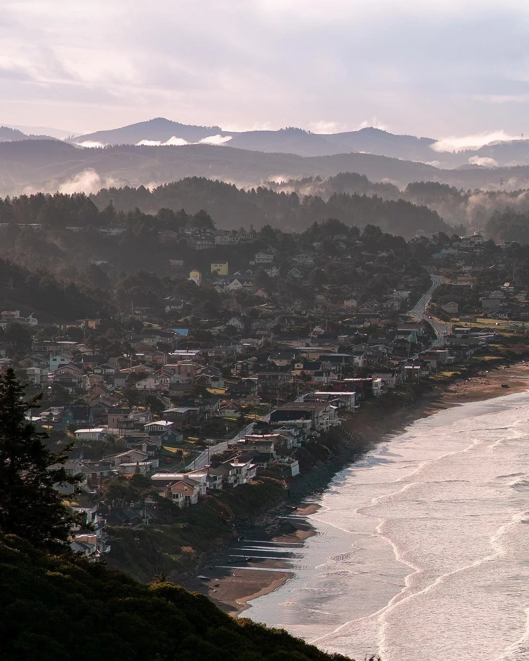beauty in the details✨⠀⠀⠀#OregonCoast #OregonCoastExplored #BestofOregonCoast #CoastVibes.jpg