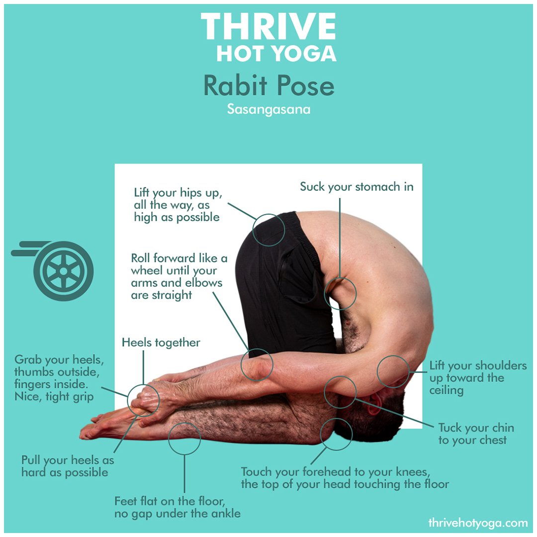 Pose of the week : Wheel pose / Urdhva Dhanurasana - Ekhart Yoga