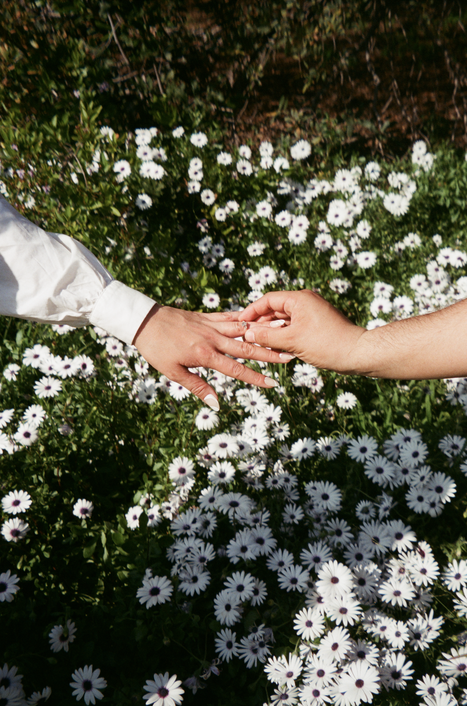 Screen Shot 2023-03-17 at 2.49.54 PM.png