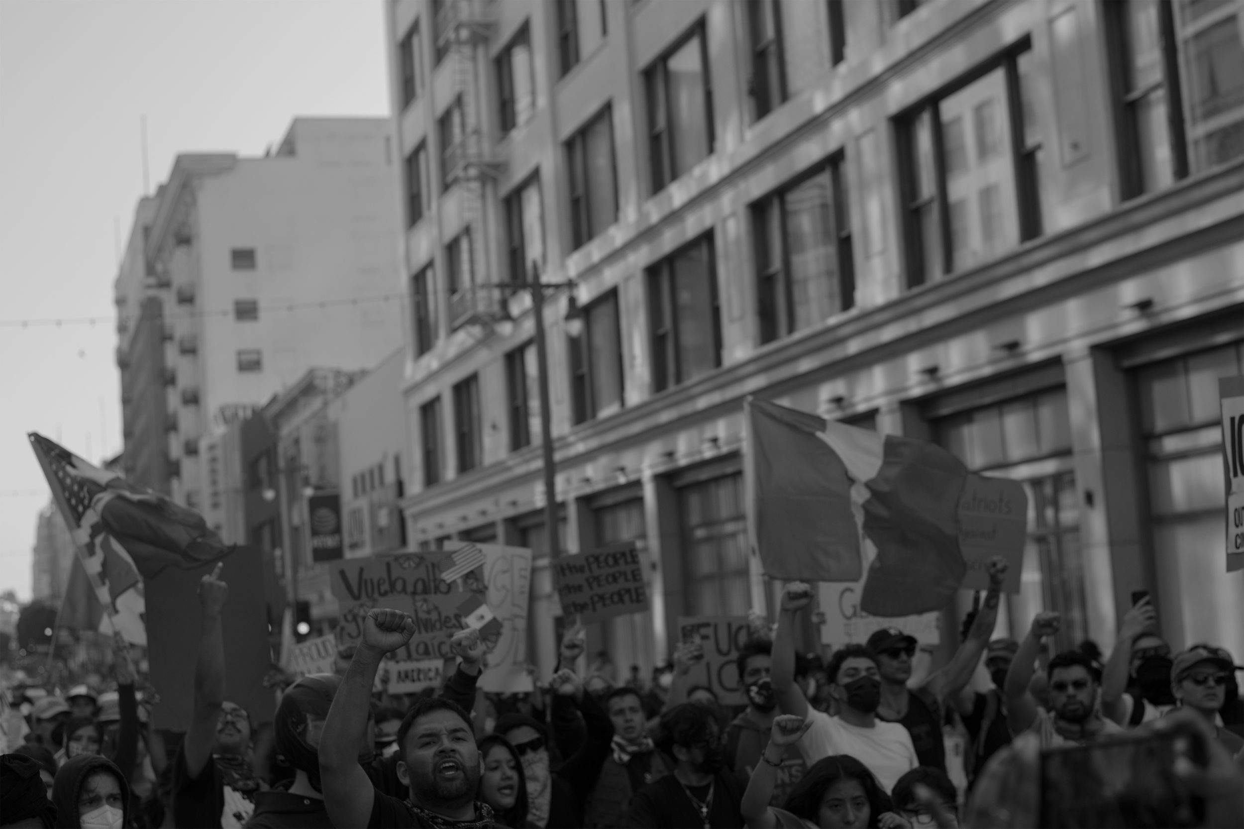 protest.png