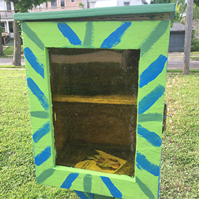 Can you find all the Little Free Libraries in the neighborhood?