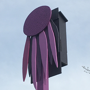 Purple | Bat House | Purple Coneflower