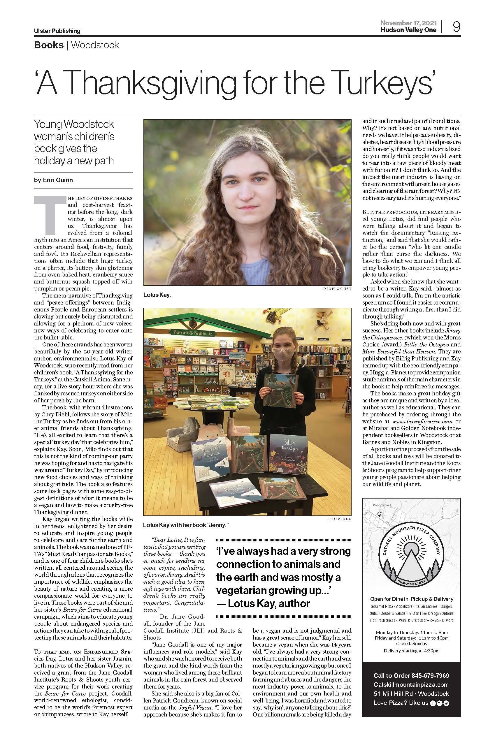 Hudson Valley One Article