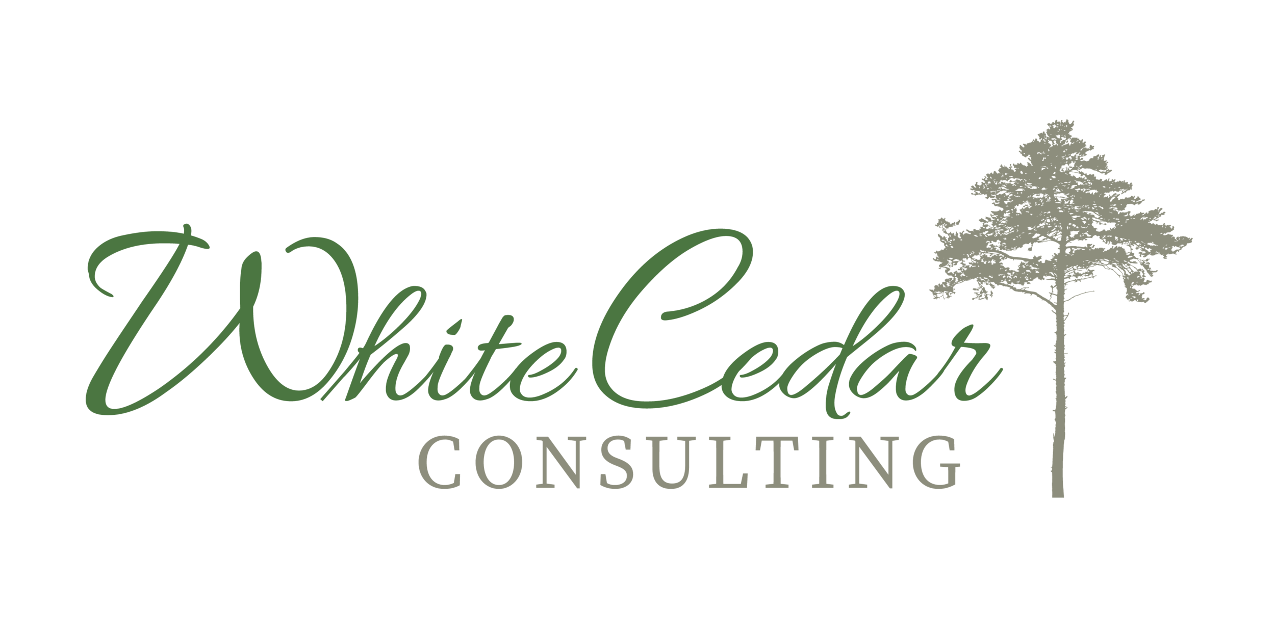 White Cedar Consulting with Pat Wester - Ministry Coaching for Pastors, Church Staff, and Ministry Professionals