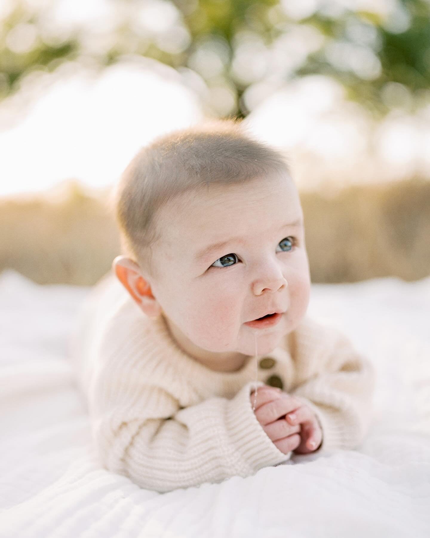 Milestone sessions are just so sweet. That first year things change at LIGHTNING speed. It&rsquo;s so sweet to see how much they grow and have these memories to look back on. 🤗 I can&rsquo;t believe this nugget is ONE. He was just so sweet and smile