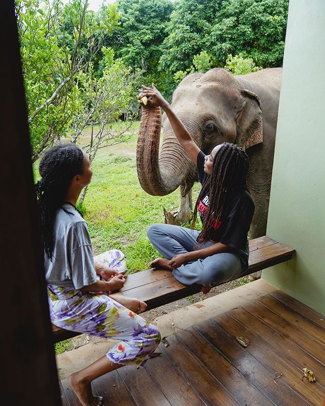 Morning wakeup call🐘🛎 Our Thailand take over is officially in Chiang Mai. 🇹🇭 Guess who came to welcome our guests! 🐘🐘 #chidiashleytravels