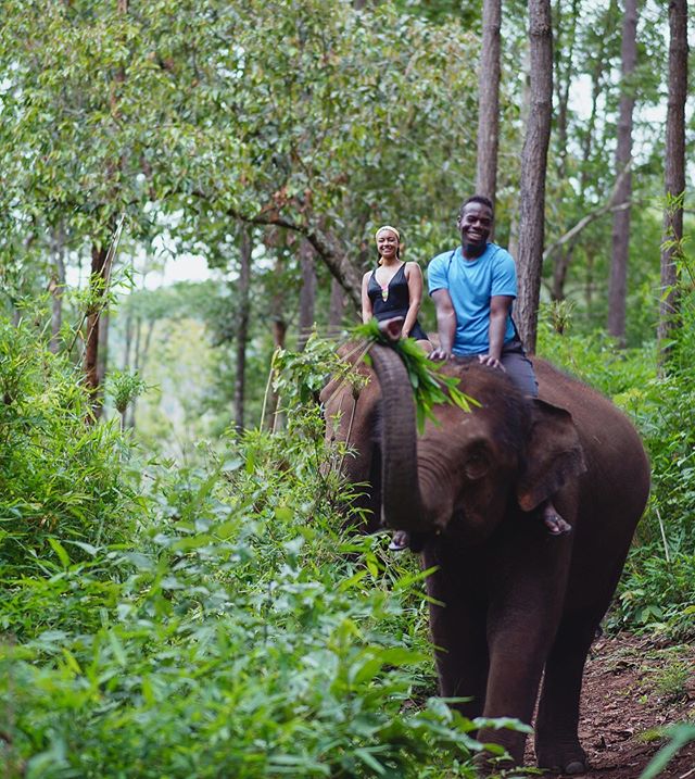 No better way to get to know these gentle giants than on their own terms!🐘We are staying on an elephant sanctuary/eco lodge for 2 nights to get a raw and real elephant experience.🕺🏾🇹🇭 #thailandtakeover .
.
.
 #thailand #chidiashleytravels #thail