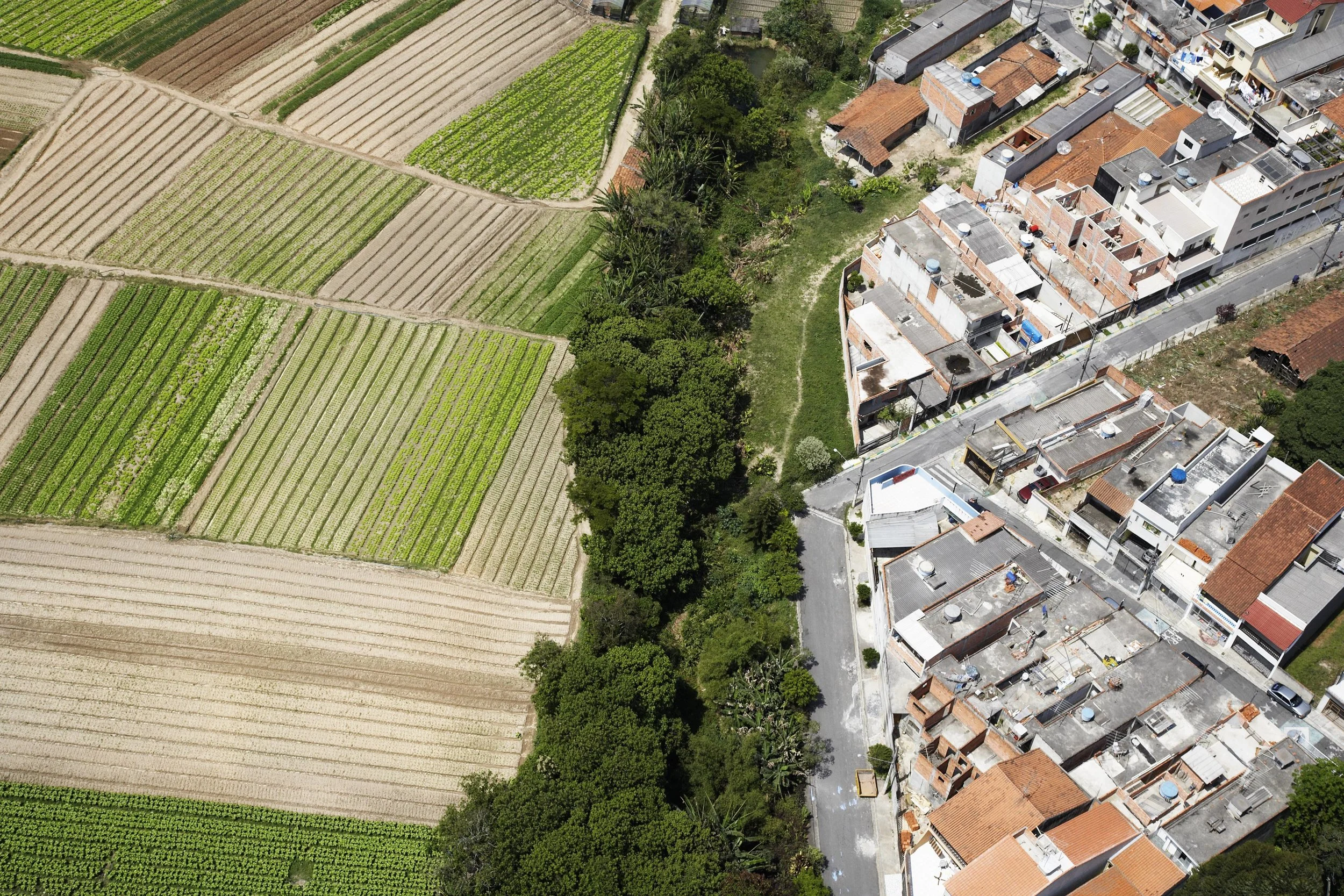 Urban_Rural70.jpg