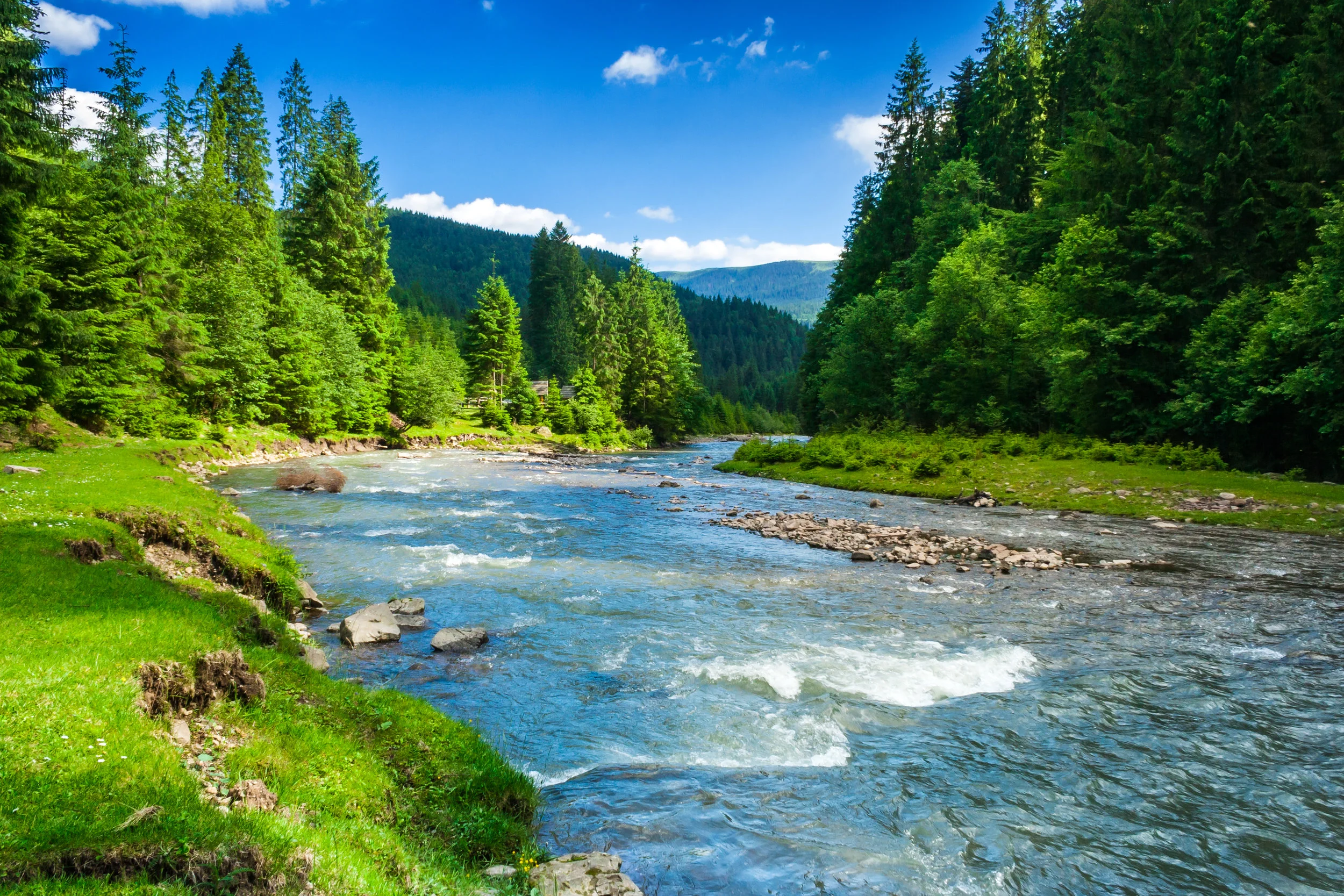 shutterstock_134272340.jpg