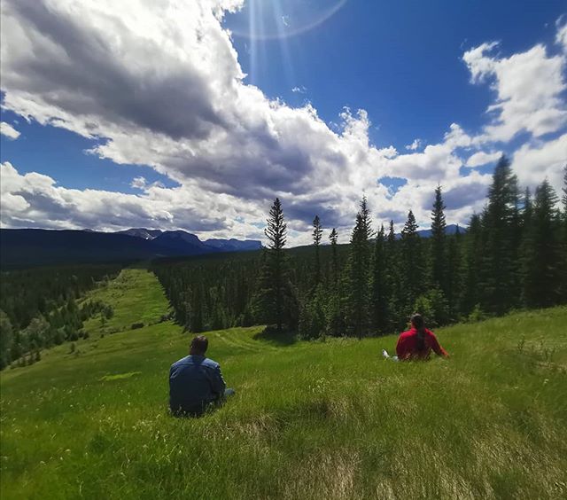 Today is #NationalIndigenousPeoplesDay, which also marks the end of 3 weeks of assisting a community-led First Nations Consultation. Through these past few weeks we have been granted the opportunity to work closely with Elders and Knowledge Keepers. 