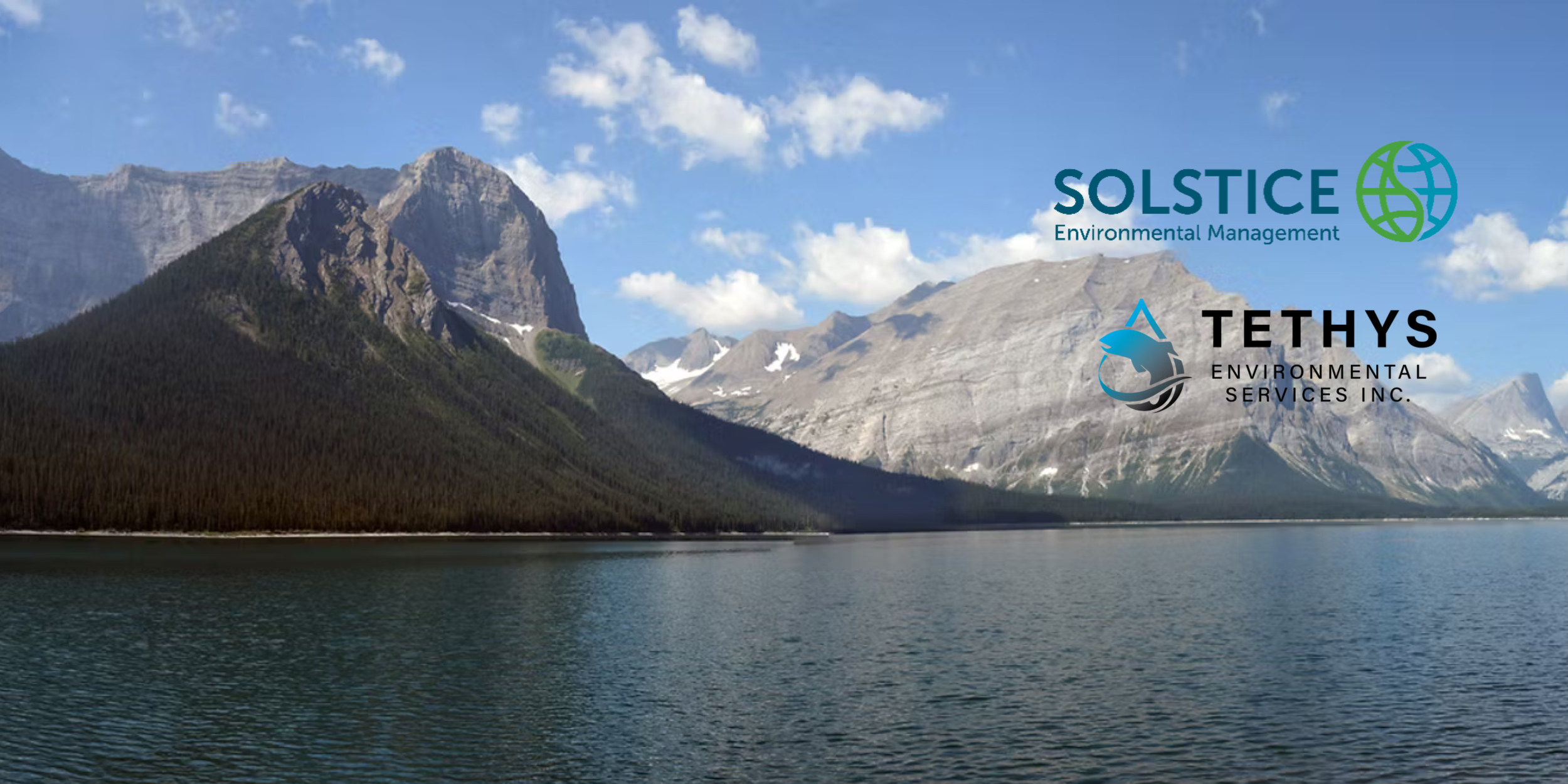 Untitled design (5).png