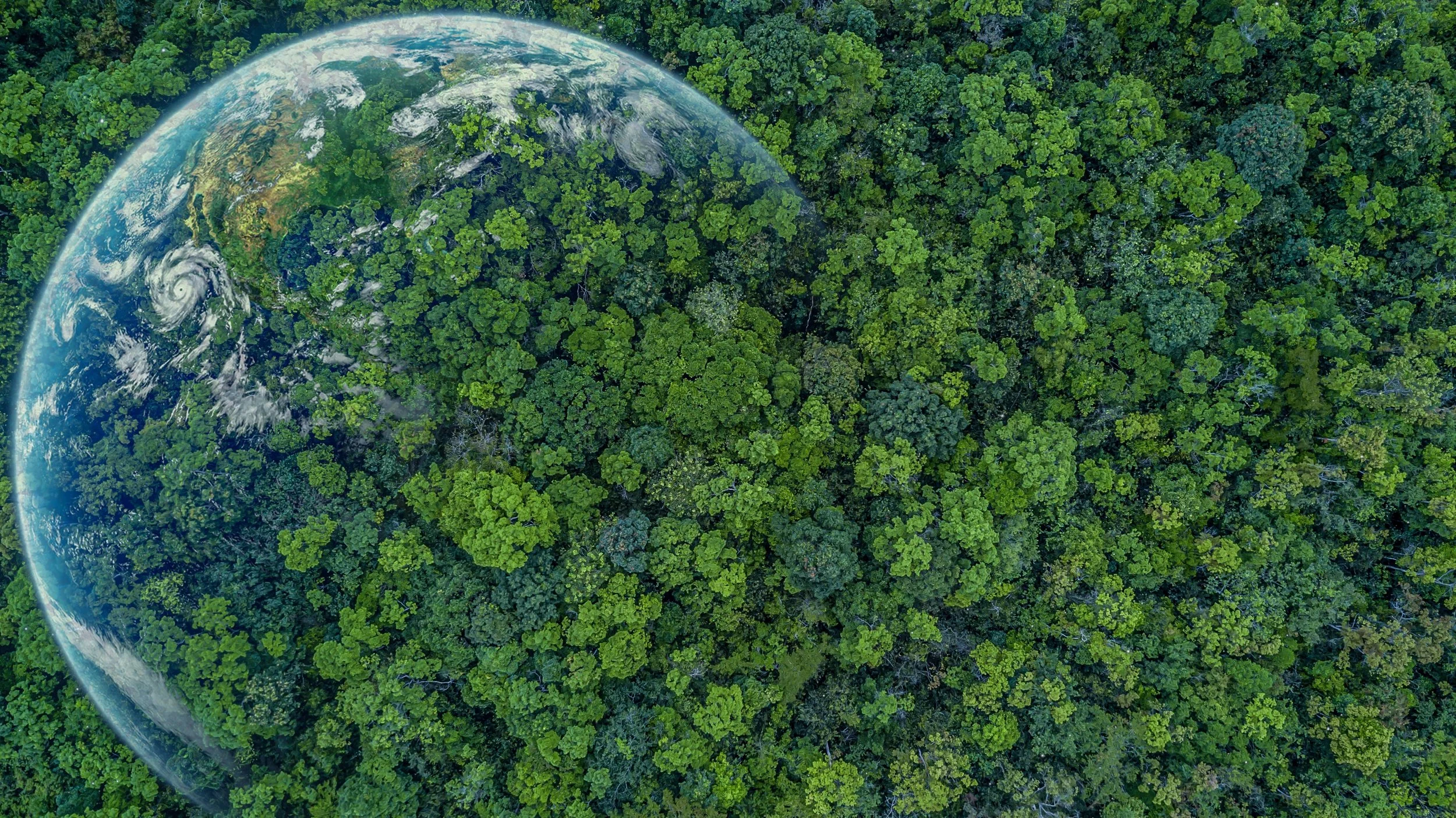 Earth and Trees Birds Eye View.jpg