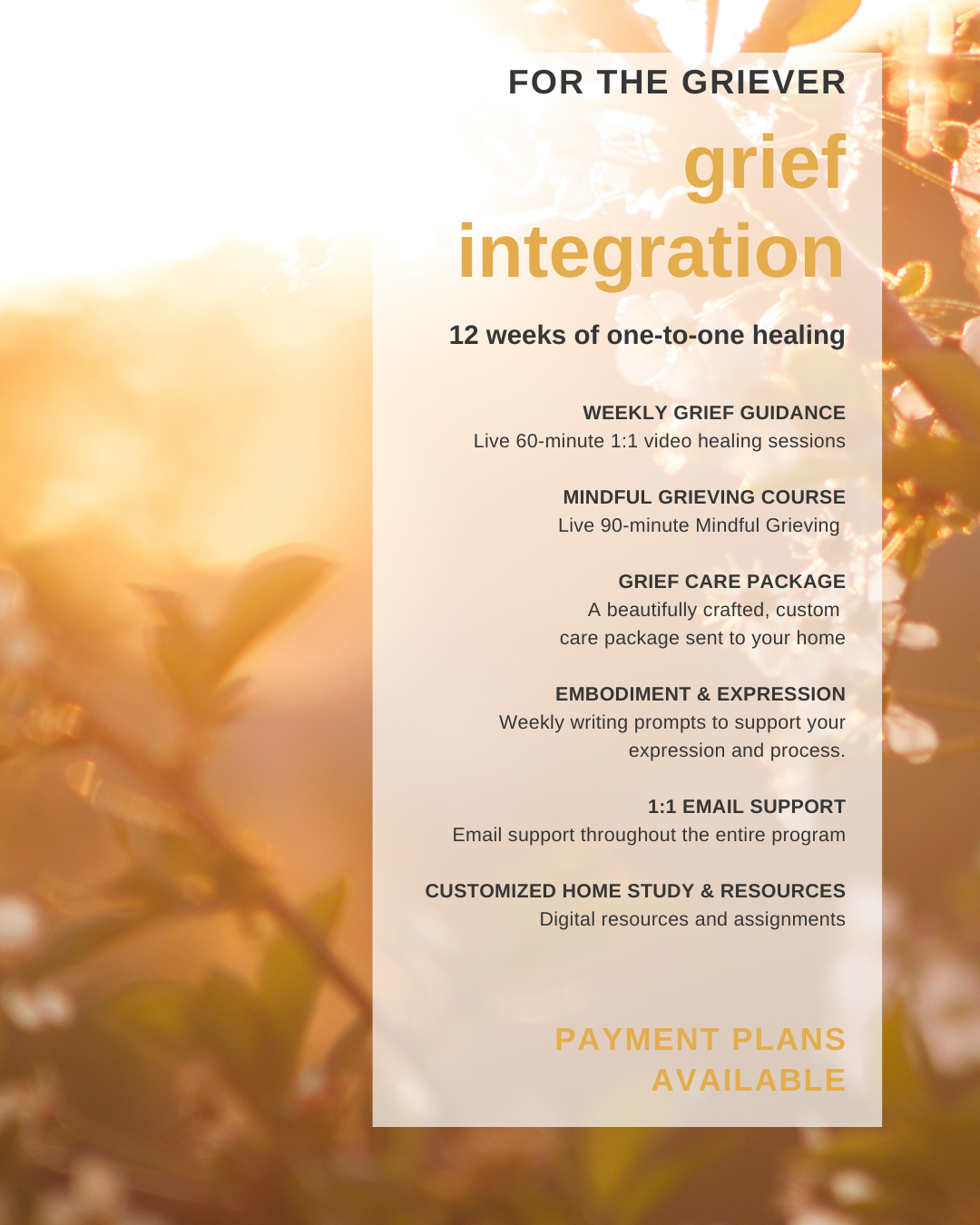 Grief Integration Healing — Alyssa Rose Healing Arts