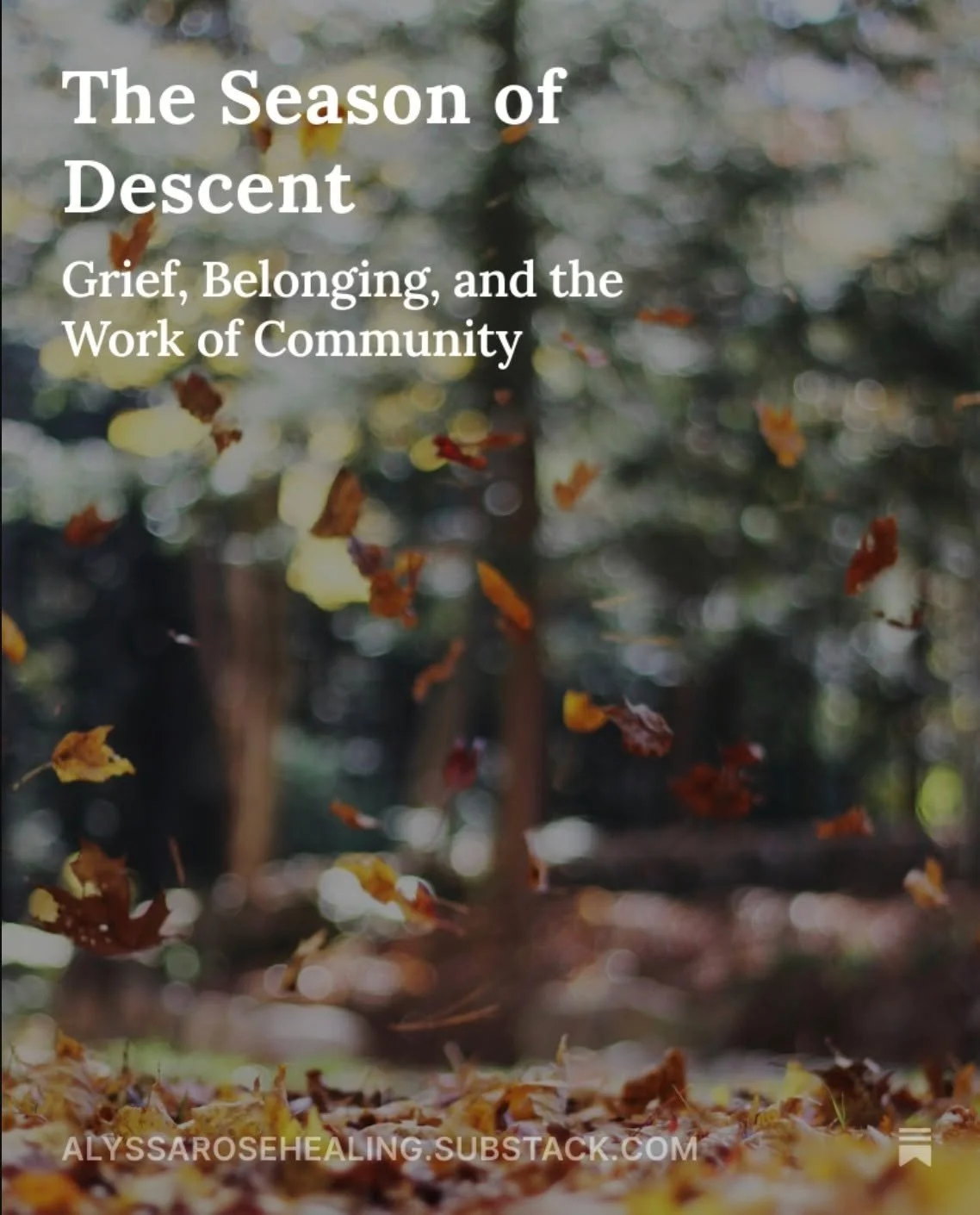 Welcome Autumn. 
Welcome West. 
We have been slowing down, celebrating, and honoring this change of season where I live. We have been gathering, singing, refreshing the altars, enjoying the harvest of the incredible apple trees we live with, and prep