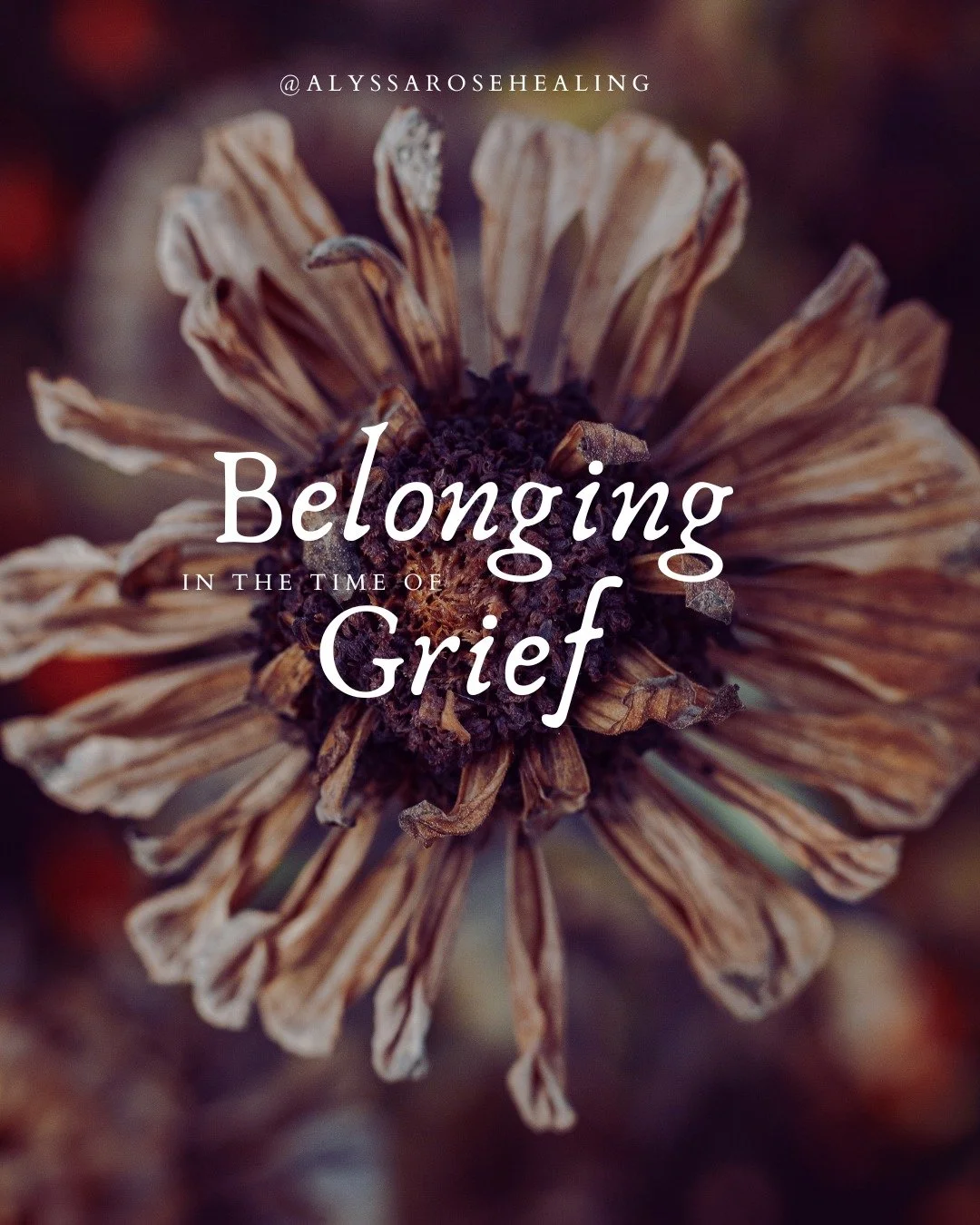 When grief is carried alone, the weight is unbearable.
When grief is witnessed, belonging grows.
This is the soil where healing takes root.
Where belonging blooms. 
Where beauty and love grow wild. 
Where have you felt belonging in your grief?
#bel