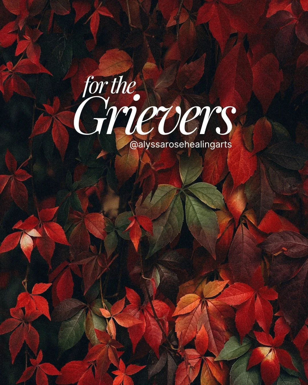 Ouch. 
The world is a lot right now. 
And yet, we must keep moving in our daily rhythms. 
We must still invite and welcome joy and connection into our lives even as war and injustice still unfolds. We must sit seriously with the suffering and invite 