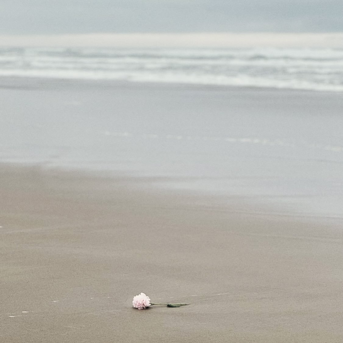 How do you say - do you be - thank you?

@triciafrenchart photo credit