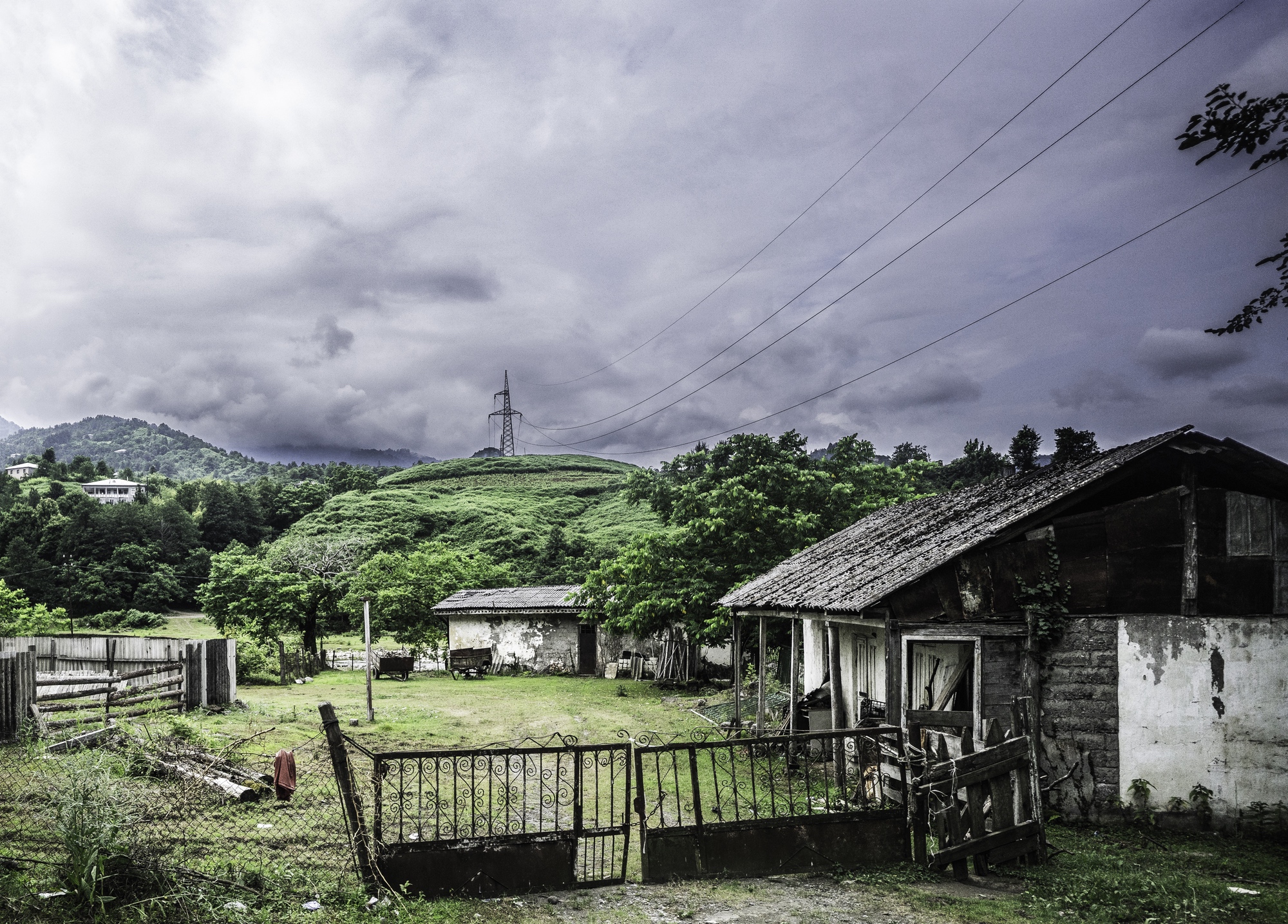 The Vilage Color V2 .jpg