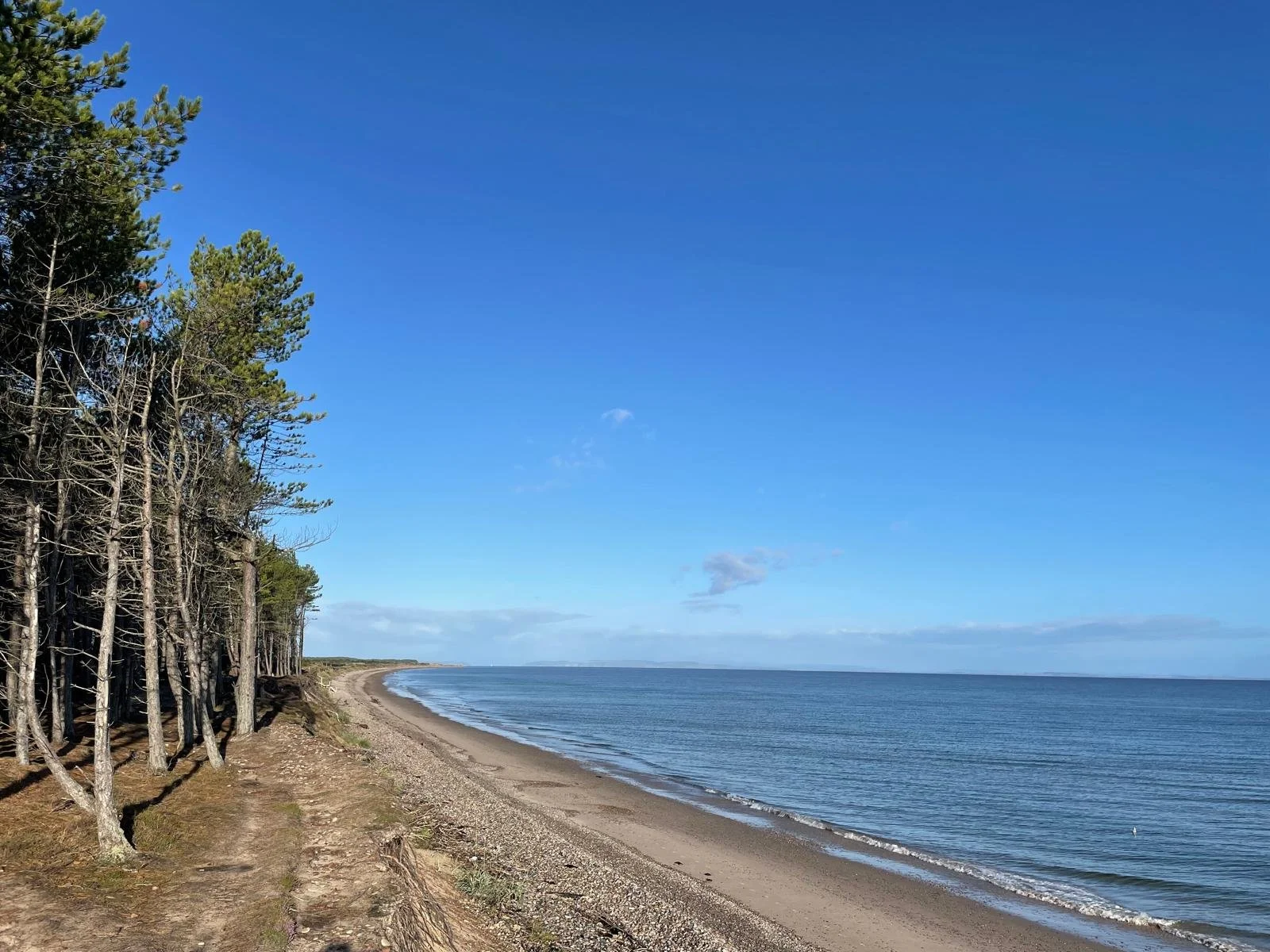 WhatsApp Image 2024-09-29 at 12.22.11.jpeg